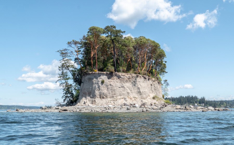 Kopachuck State Park, Washington, USA